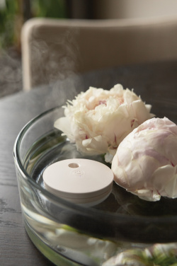 Logo trade ärikingi pilt: Breevia RCS plastikust laetav ujuv õhuniisutaja