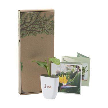 Logotrade liikelahjat kuva: Treemore Letterbox Trees Bird of Paradise -kasvi