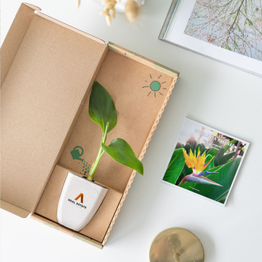 Logotrade liikelahjat mainoslahjat tuotekuva: Treemore Letterbox Trees Bird of Paradise -kasvi
