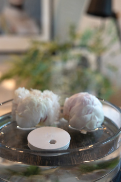 Logotrade profilreklam bild: Breevia RCS plastisk uppladdningsbar flytande luftfuktare