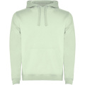 Urban hoodie för herr, Dimgrön